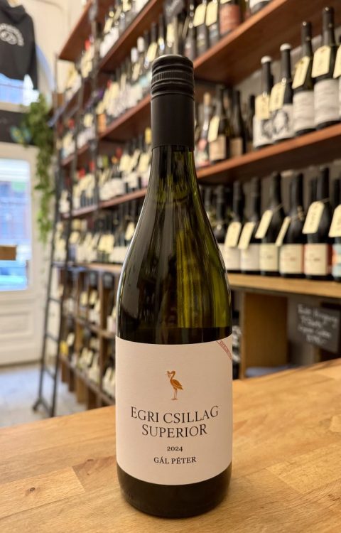 Egri Csillag Superior - Gál Péter