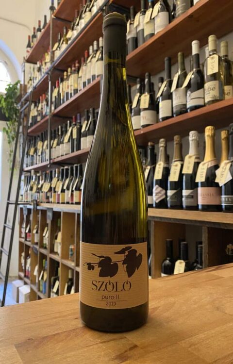 Szóló, Puro I. 2019