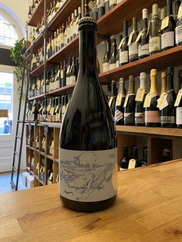 Cseri_Pet-Nat_copy_327-28.jpg Cseri_Pet-Nat_copy_327-28.jpg